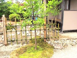 In猩|