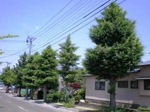 Ŏ}to