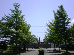 ̃C`EE1