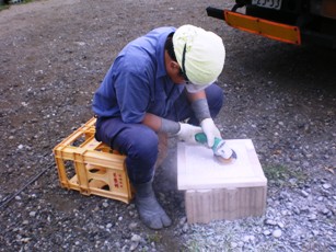 萅E4
