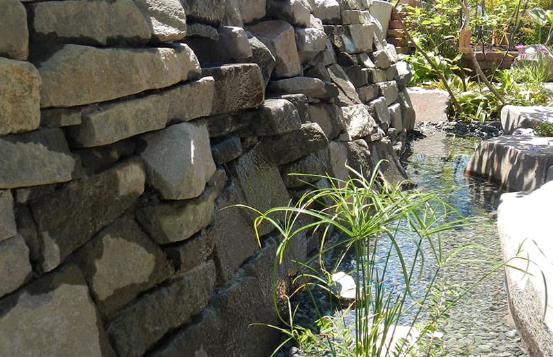 山の木々の足元には四季の山野草が顔を出す