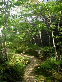 隣地への伸長を防いだ庭