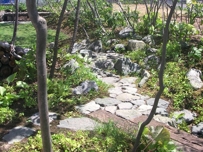 里山の樹木を植えて地産の石の道と小川を作った庭