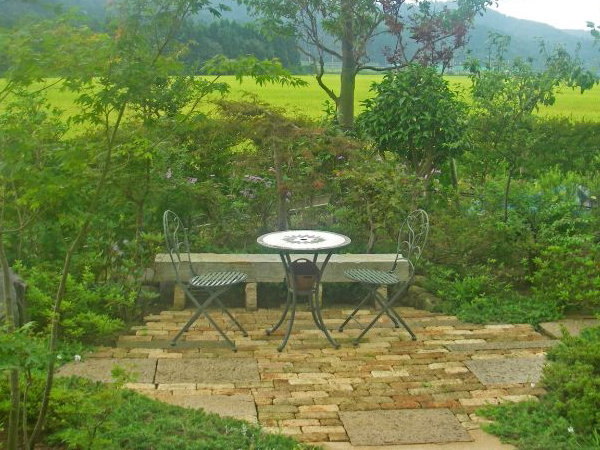 道と木が繋ぐ庭の楽しみ