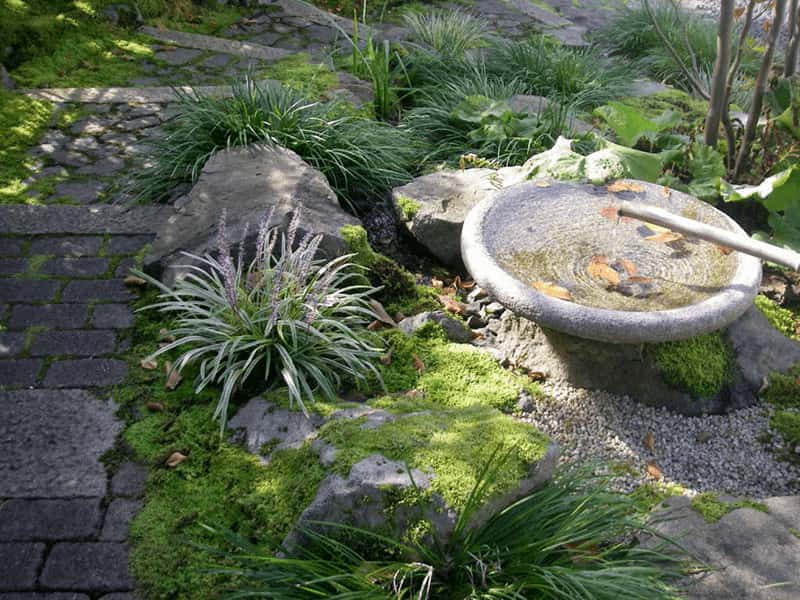 晩夏のアプローチ