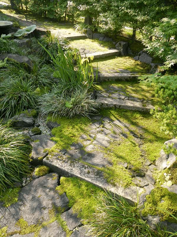 作庭から9年目の春の庭