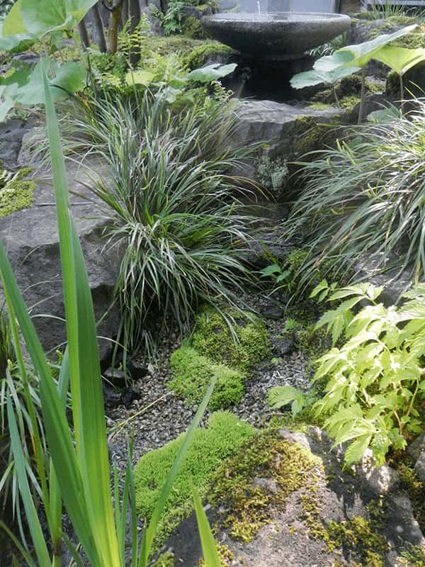 苔に覆われるアプローチ