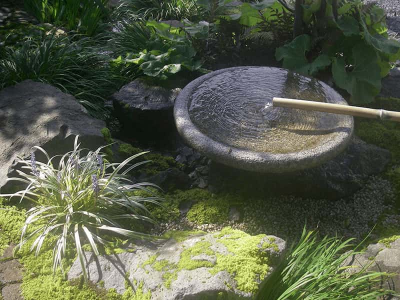 草や苔を潤す小滝の流れ