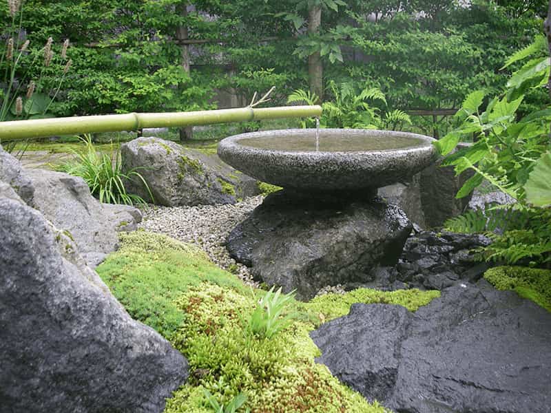 自然な苔の盛り上がり
