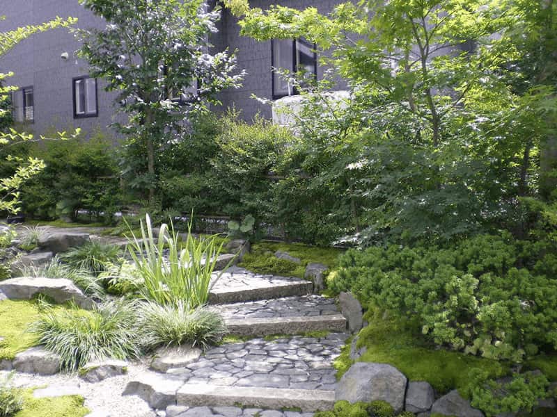 作庭3年目の春の庭