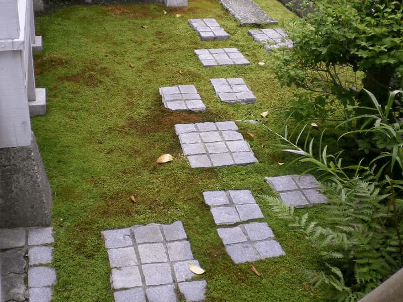 苔の中の飛び石