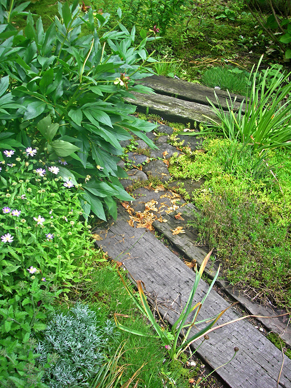 草木や石が自然な景色を作る