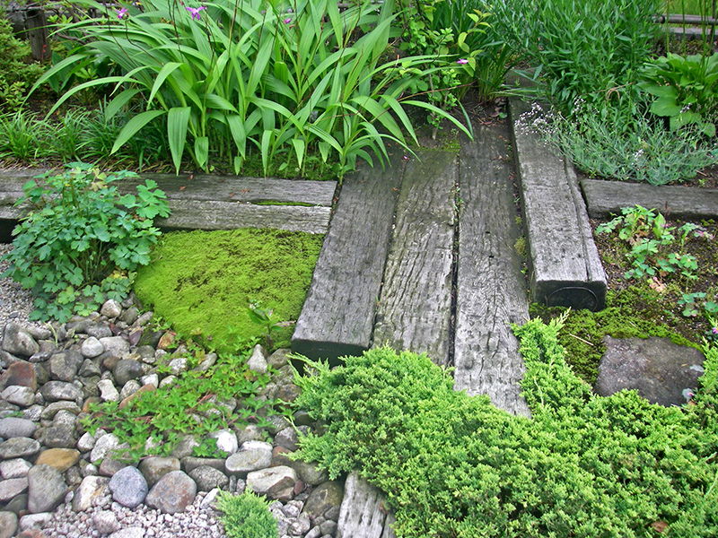 さまざまな草木が混植されて自然な景色を作る庭
