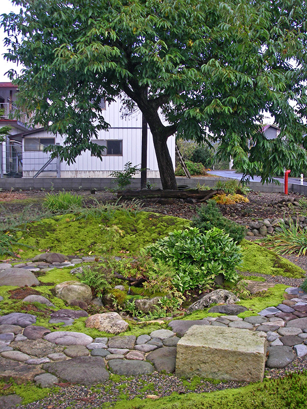 栗の木の下のテラス