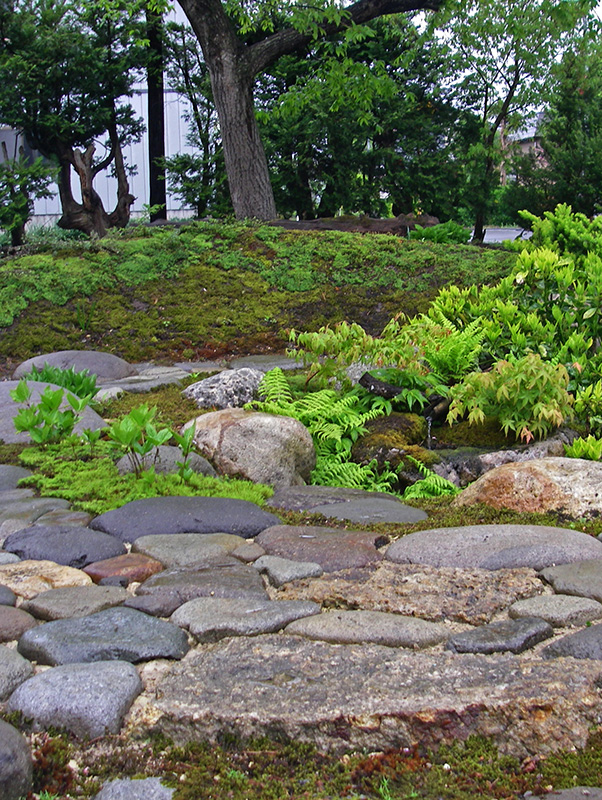 山の湧水のイメージの水場