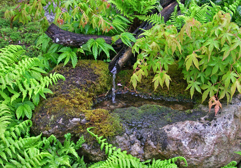 降り蹲踞風の沢の清水