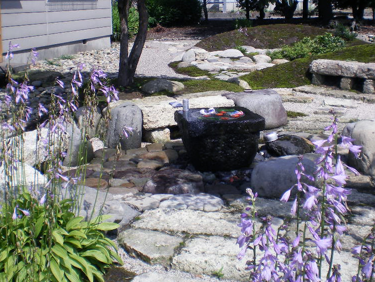 ウルイの花が咲く夏の庭