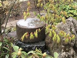 漬物石だったひき臼と既存の鳥海石を組み直した小滝