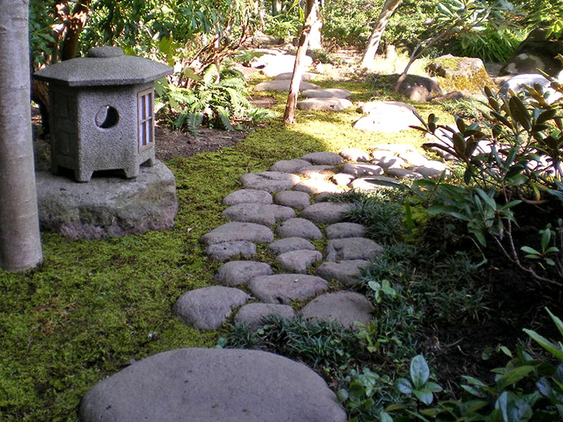 川石の延段と寸松庵灯篭