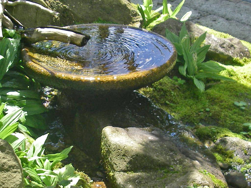 幾重にも広がり消えてまた生まれる水鉢の波紋