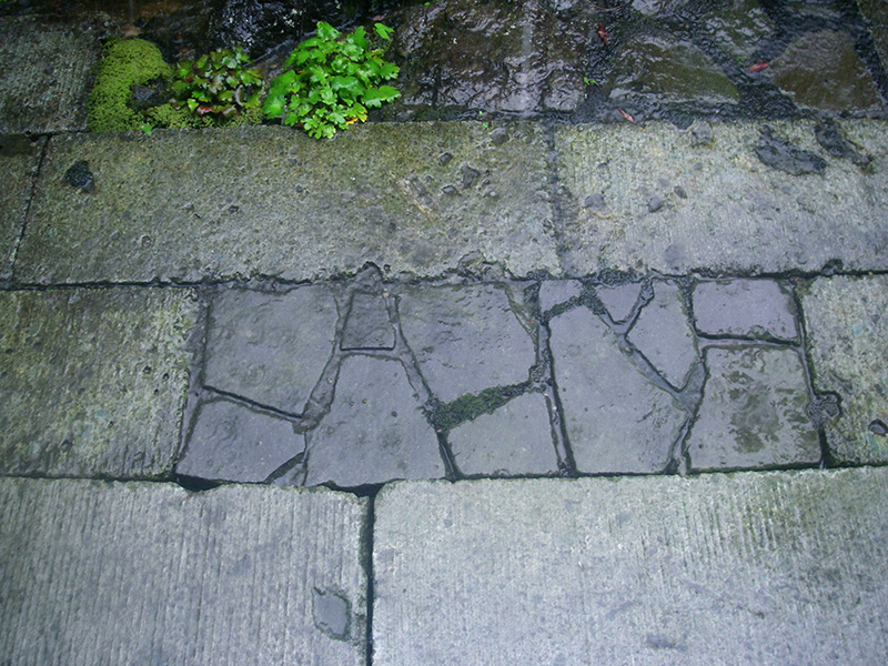 雨に打たれて青さが増す石の色