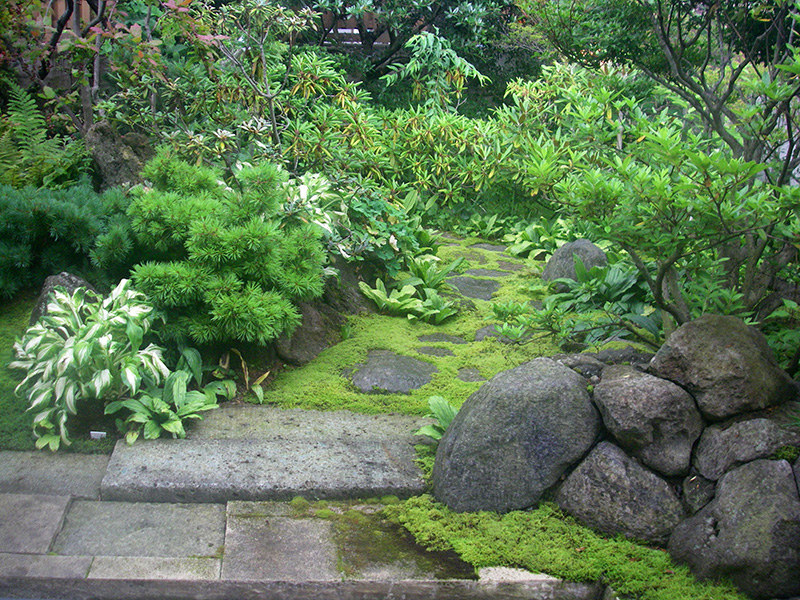 山野草の中を行く山道