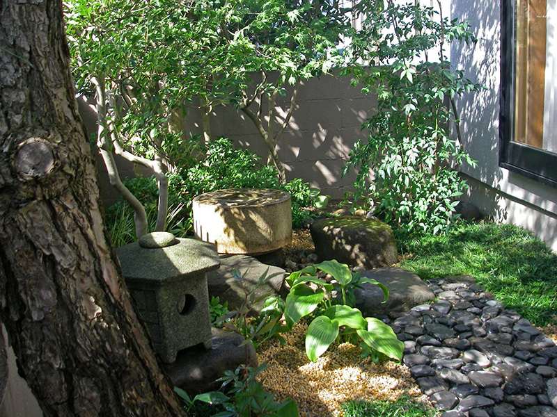 クロマツ越しに見る蹲踞