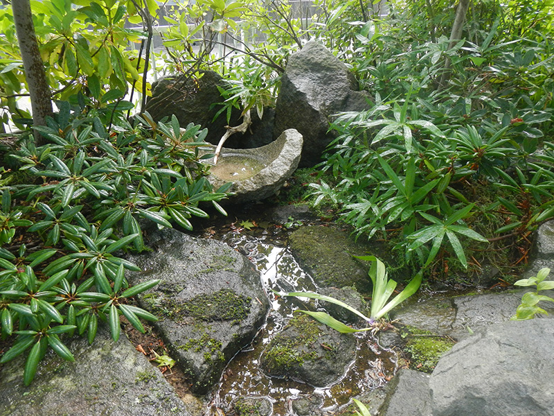 水鉢からオーバーフローした流れの水面に木立が映り込む