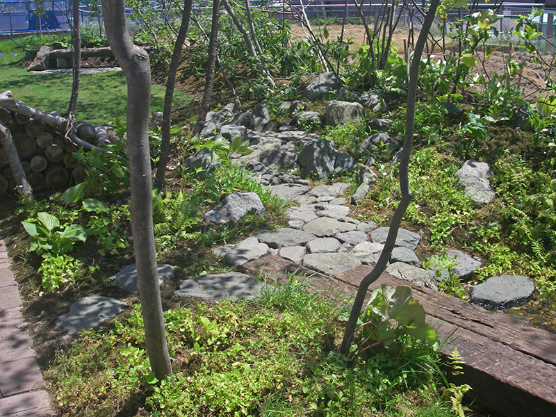 森の路を進み、庭の最奥部へ向かうとそこはナツハゼを寄せ植えした山の峠