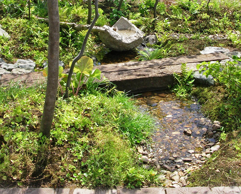里山に自生する樹種を植えた庭