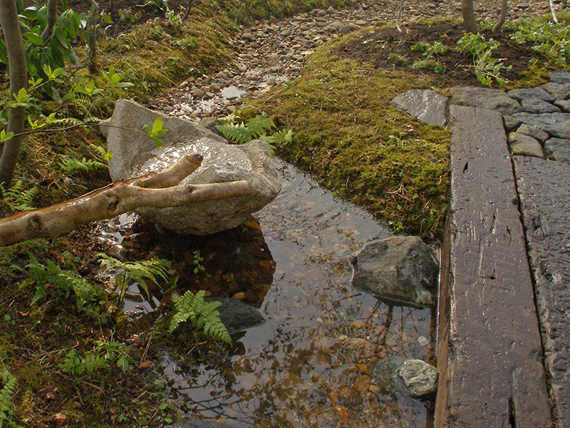庭の流れの淵の飛び石に乗り、川面に映る木立を眺める