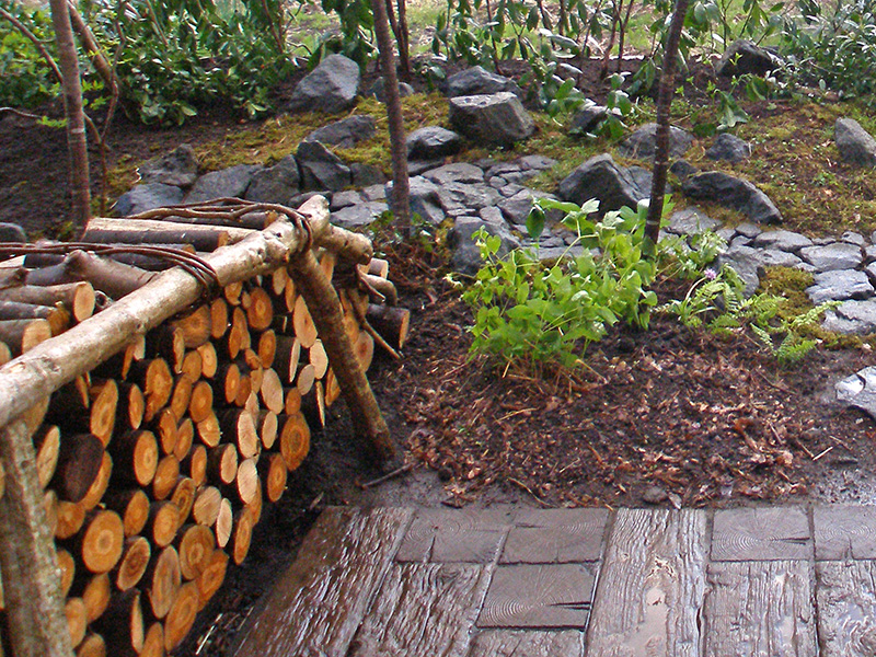 玄関から見た庭。正面はヤマザクラ