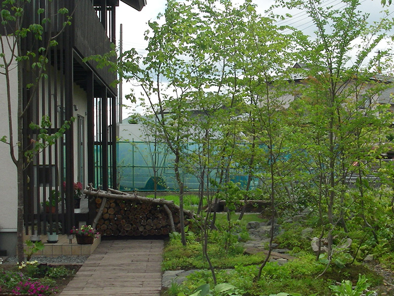 6月、梢の緑が日に日に濃くなってゆく庭