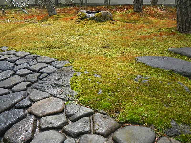 早春、苔生す延段