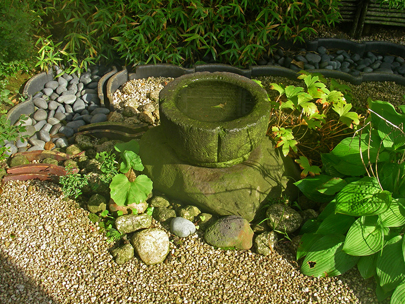 朝日を浴びる水鉢