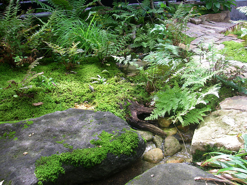 水源からの流れが大地を潤す