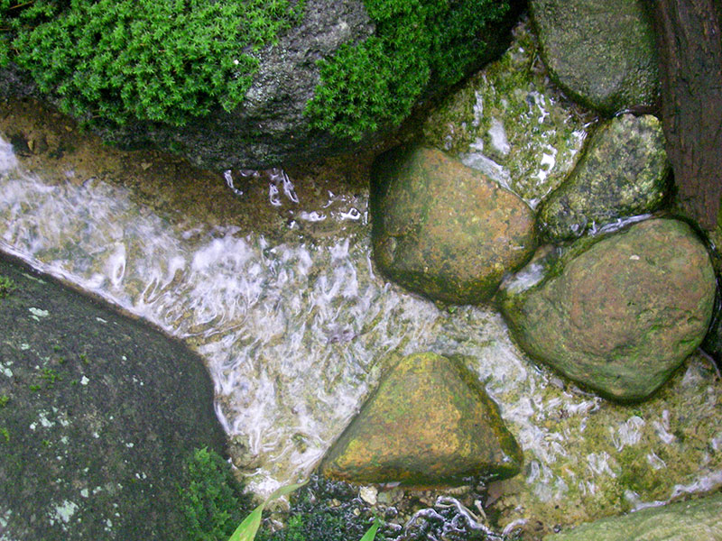 山の清水の流れ