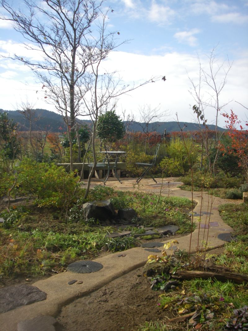 木々の中を行く三和土の道。秋の庭の風景