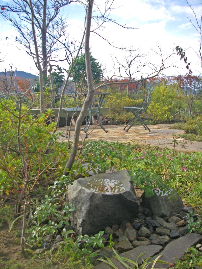 自然の石を割ったような水鉢。水面に庭の景色が映り込む
