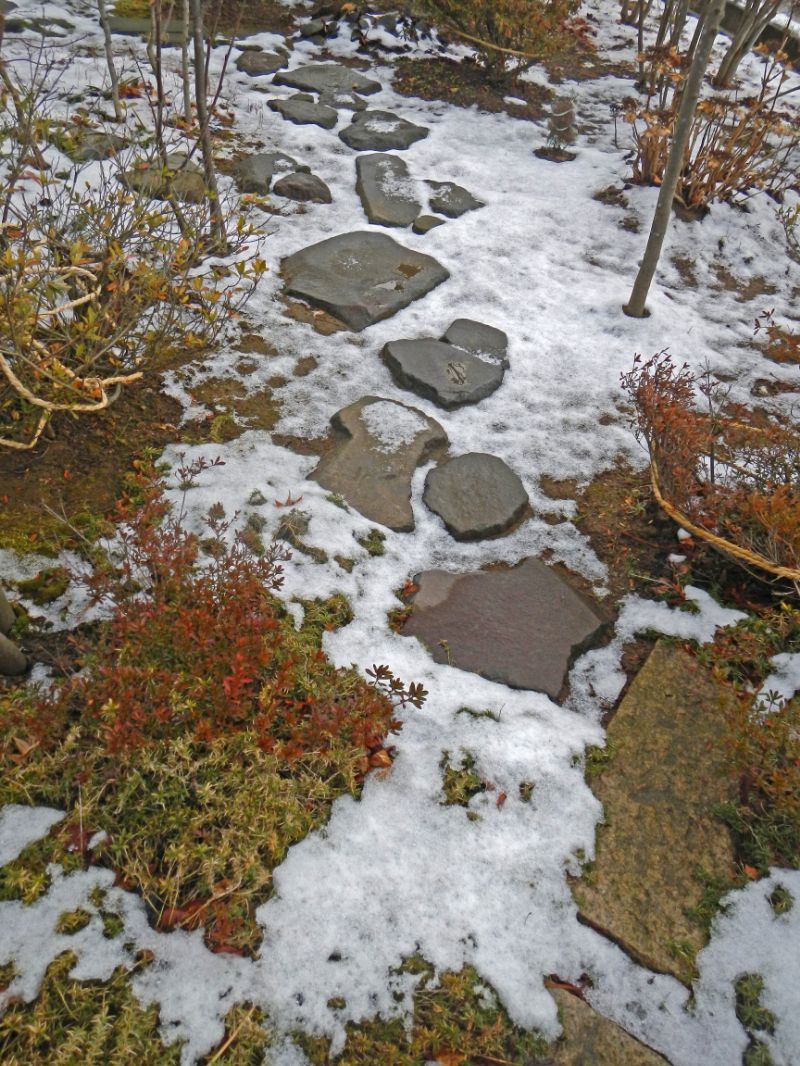 雪の日の庭の山石の伝い