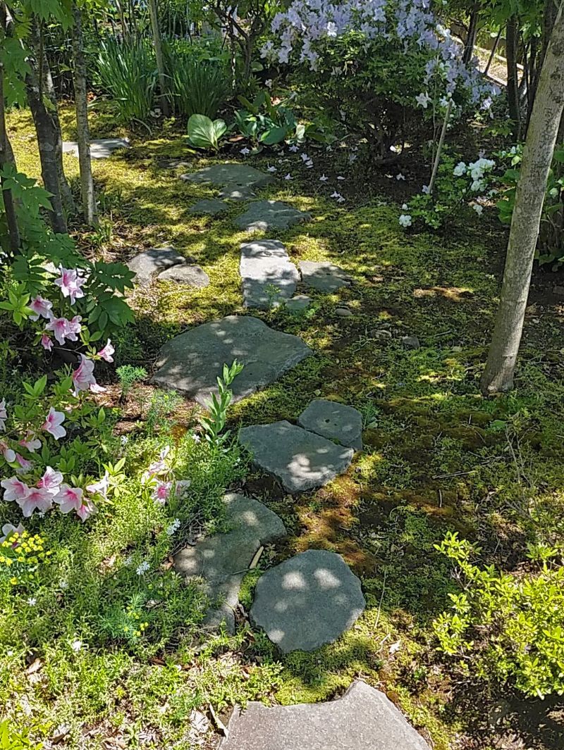 山石の伝いを木陰が包み込む庭