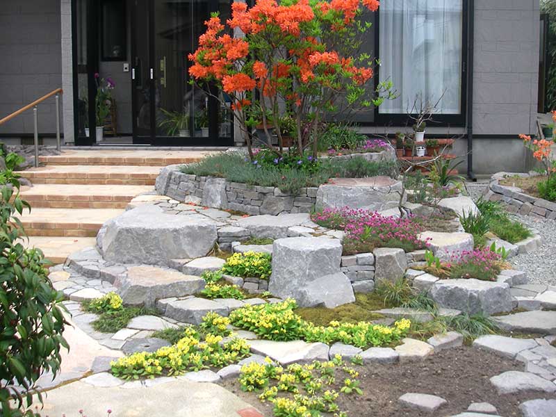 石積み花壇の最上部で咲く満開の山ツツジ