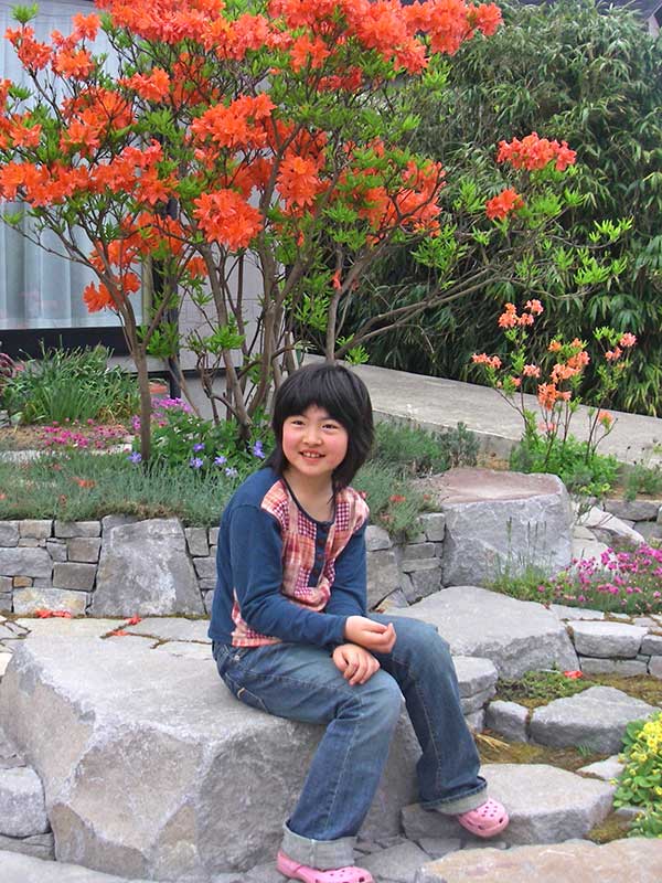 石積が曲がり分岐する所には大きな石を配し、露頭岩を表わした