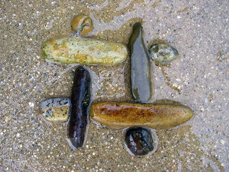 洗い出しの中に埋め込んだ石の♯（シャープ）