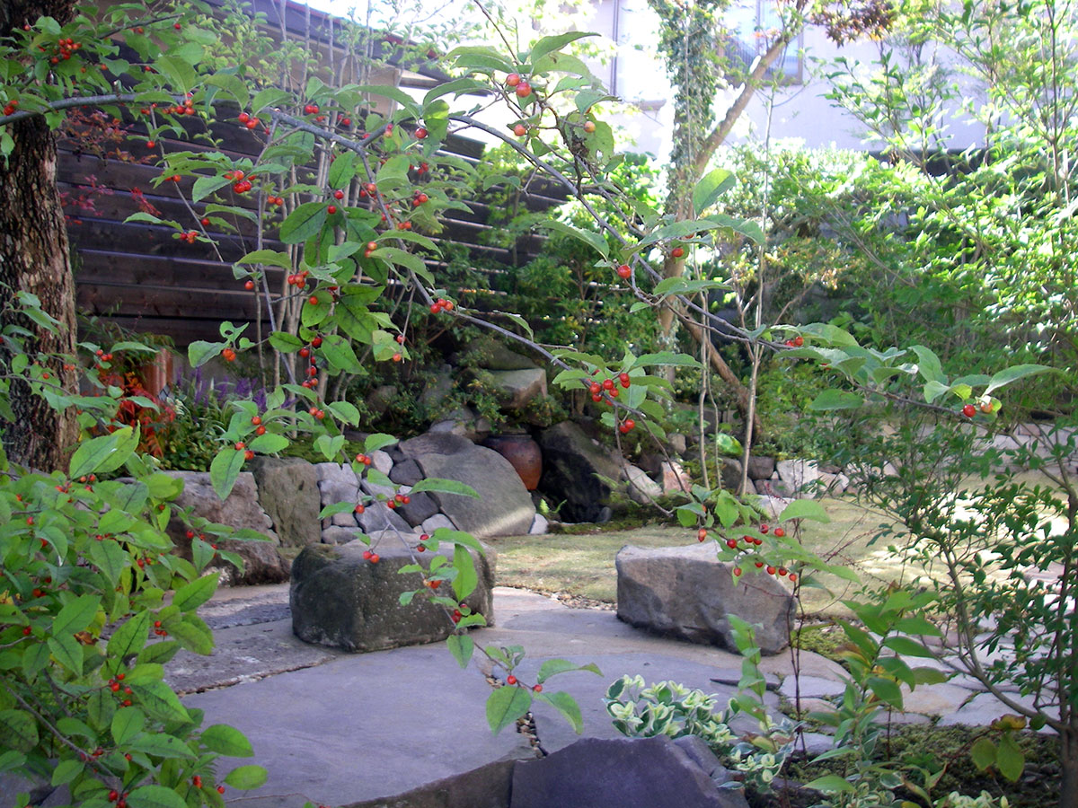 ミズヒキやウメモドキの実が庭を彩る