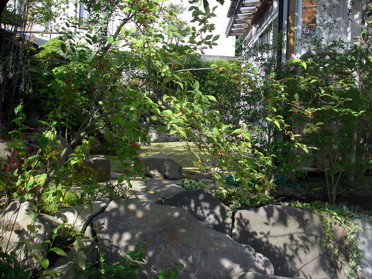 木漏れ日に包まれる庭