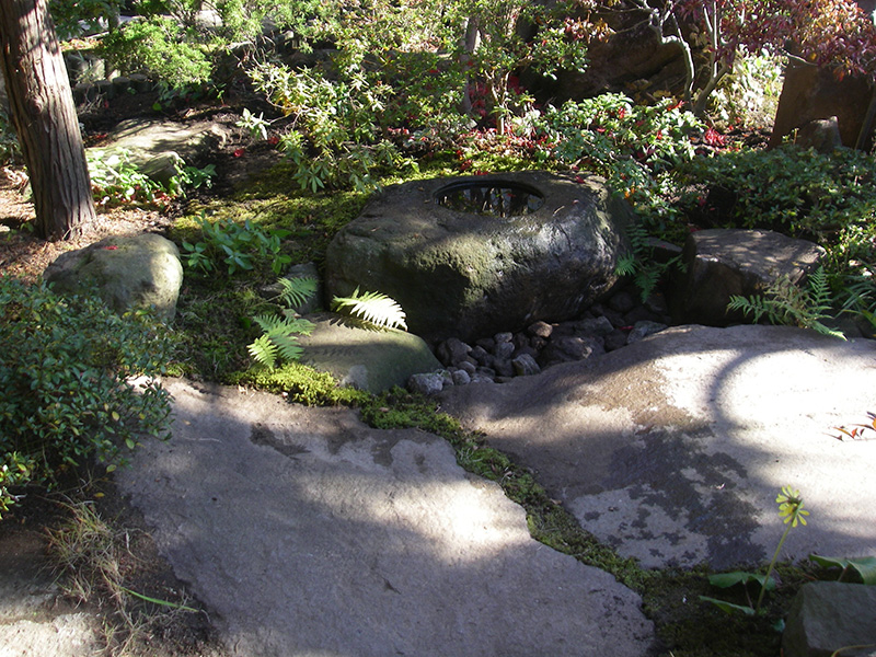 大ぶりで水穴もゆったりとした鳥海石の水鉢