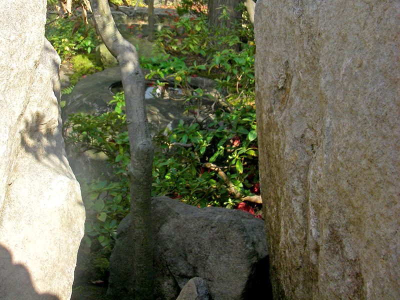 石組の間から覗く水鏡