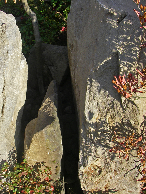 石組の後ろに見え隠れする庭