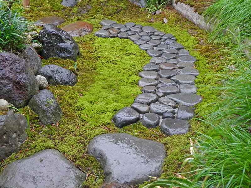 土地の石と土で作る露地の庭